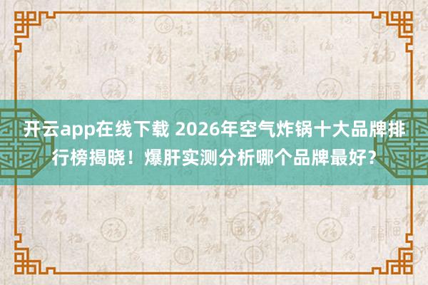 开云app在线下载 2026年空气炸锅十大品牌排行榜揭晓!爆肝实测分析哪个品牌最好?