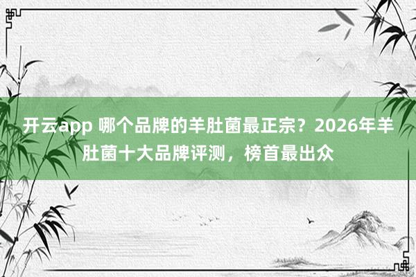 开云app 哪个品牌的羊肚菌最正宗？2026年羊肚菌十大品牌评测，榜首最出众
