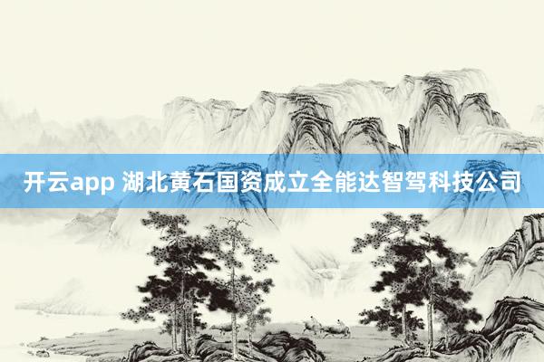 开云app 湖北黄石国资成立全能达智驾科技公司