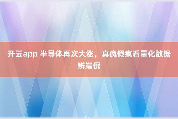 开云app 半导体再次大涨,真疯假疯看量化数据辨端倪