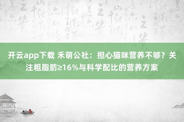 开云app下载 禾萌公社:担心猫咪营养不够?关注粗脂肪≥16%与科学配比的营养方案