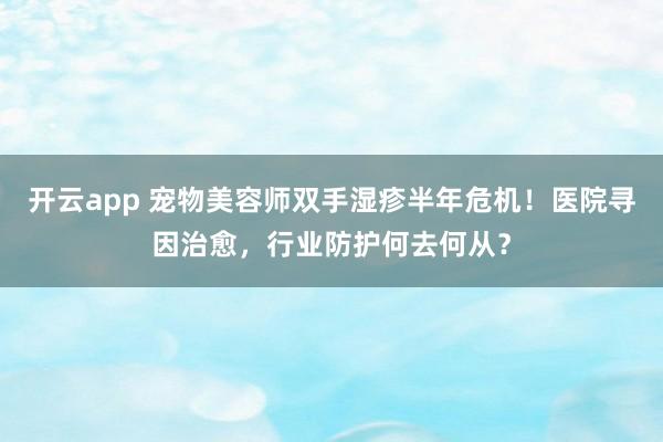 开云app 宠物美容师双手湿疹半年危机!医院寻因治愈,行业防护何去何从?