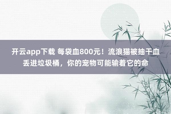 开云app下载 每袋血800元!流浪猫被抽干血丢进垃圾桶,你的宠物可能输着它的命
