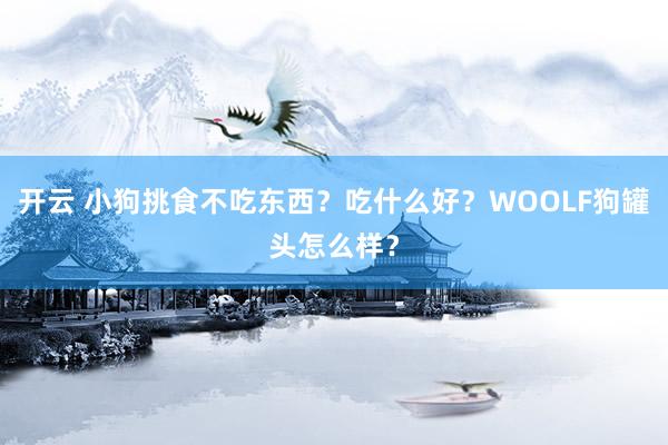 开云 小狗挑食不吃东西?吃什么好?WOOLF狗罐头怎么样?