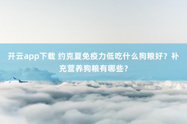 开云app下载 约克夏免疫力低吃什么狗粮好？补充营养狗粮有哪些？