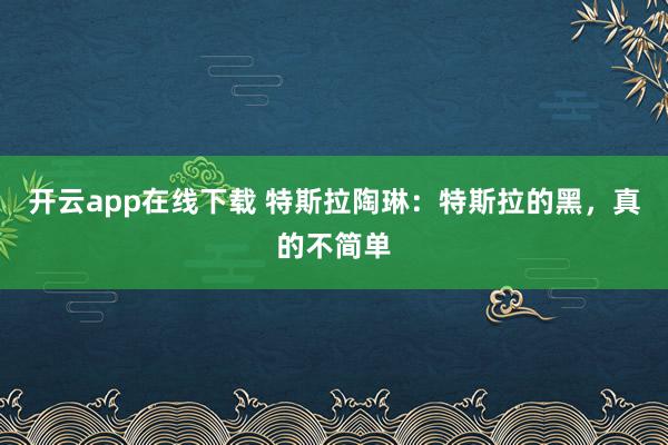 开云app在线下载 特斯拉陶琳:特斯拉的黑,真的不简单