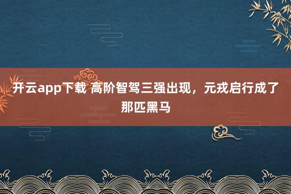 开云app下载 高阶智驾三强出现,元戎启行成了那匹黑马