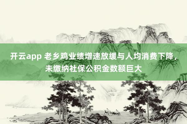 开云app 老乡鸡业绩增速放缓与人均消费下降,未缴纳社保公积金数额巨大
