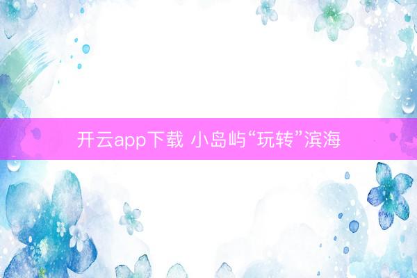 开云app下载 小岛屿“玩转”滨海