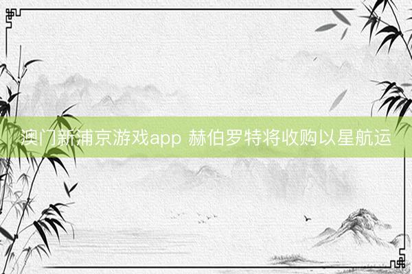 澳门新浦京游戏app 赫伯罗特将收购以星航运